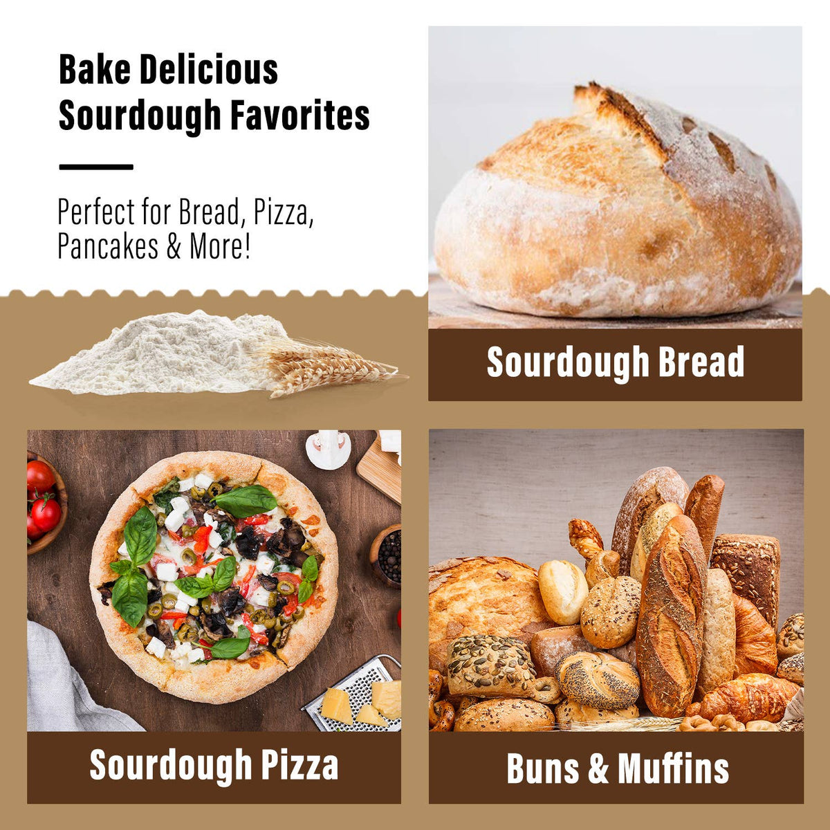 Organic Non-GMO, Freeze Dried, Sourdough Starter