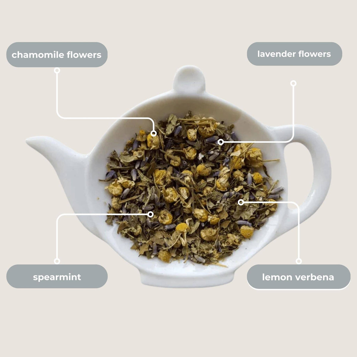 Spa Bliss Herbal Mini Tea Tube Gift (5 tea bags)